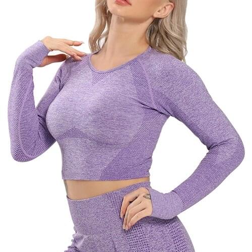 Seamless Women Sport Tops Navel Crop Top Breathable Long Sleeves Shirts Fitness Gym Clothing Tracksuits Womens Sport Outfit