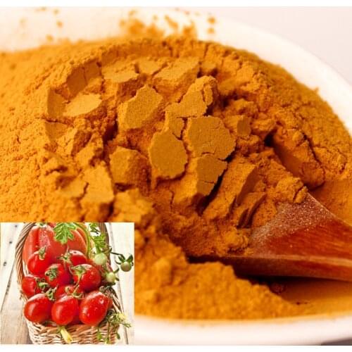 Free shipping Freeze-dried tomato powder,tomato sauce/potato chips raw materials,100% natural fruit and vegetable powder