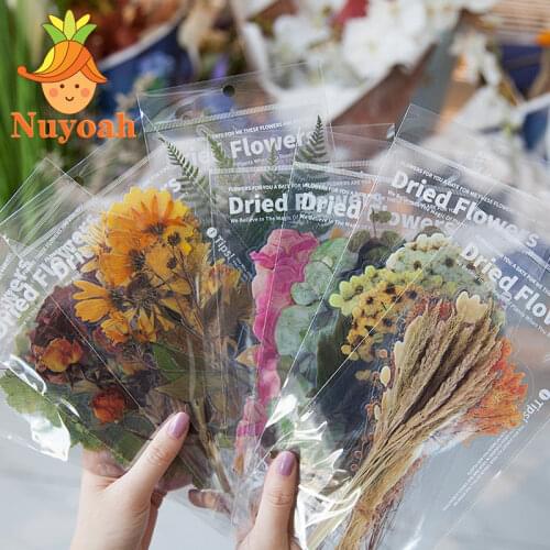 6Pcs Weekend Flowers Plant Stickers Deco Stickers for Journaling Scrapbooking Styling Bullet Journal Album DIY Stationery Sticke