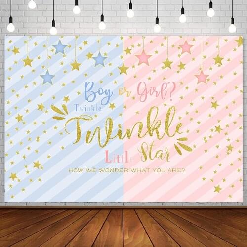 Baby Shower Backdrops Twinkle Little Star Gender Reveal Boy Or Girl Pink Blue Backgrounds Photography Studio Photocall Photozone
