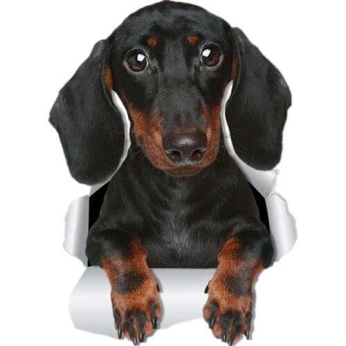 S41037# Various Sizes Funny Self-Adhesive Decal Cute Dachshund Car Sticker Waterproof Auto Decors on Bumper Rear Window