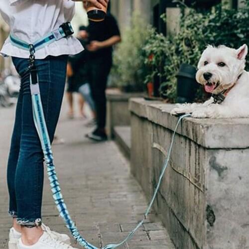 Two-Color Style Running Dog Leash Adjustable Pet Traction Rope Elastic Wear-Resistant Pet Sports Leash Dog Leash Pet Supplies