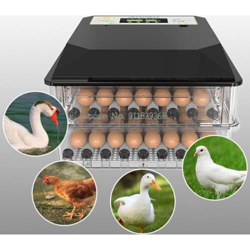Incubator Small Household Incubator Automatic Intelligent Mini Incubator Chicken Duck Goose Bird Incubator