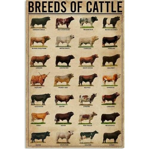 Breeds of Cattle Poster Cow Poster for Decor Kitchen Gift for Farmer Metal tin Signs Vintage Wall Plaque Retro bar Poster Decor