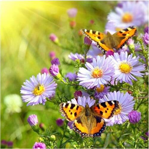 Decoration crafts diamond painting daisy diamond embroidery butterfly diamonds for picture full mosaic pattern square rhinestone