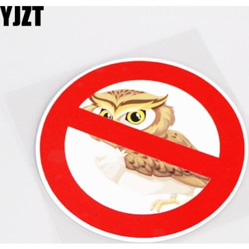 YJZT 11CM*11CM Cartoon Interesting Animal Owl Car Sticker Decal PVC 13-0904