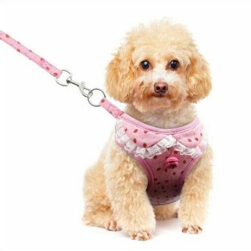 Breathable Mesh Small Dog Pet Harness and Leash Set Puppy Vest For Dog Cat Hot Dog Vest