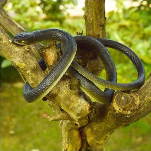 53 Inch Realistic Simulation Rubber Soft Snake Prank Joke Funny Toy Garden Halloween Party Props to Scare Birds