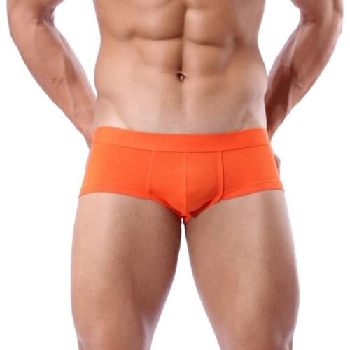 Men Soft Briefs Mens Underpants Breathable Comfortable U Pouch Mens Underwear Sexy Low Waist Briefs Panties Interior Hombre