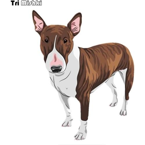 Tri Mishki WCS358# 16*12.3cm cartoon english bull terrier pit bull car sticker colorful Decals Motorcycle Accessories Stickers