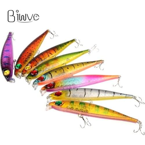 BIWVO Fishing Bait