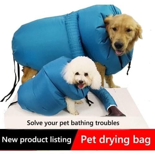 2020 new arrive Pet do drying box large dog blowing hair artifact dryer household hair dryer artifact bath fixed golden retriev