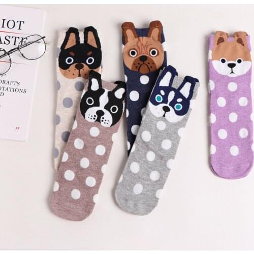 2021 Hot Sale 5Pair/lot Harajuku Cute Cartoon Dog Adult Women Socks Set Fall And In The Winter Meias New Year Gift for Girls