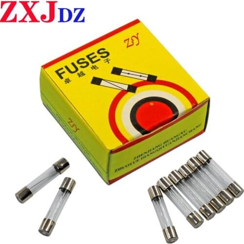 10pcs 10A 6 * 30mm Universal Size Microwave Oven Power Fuse Fuse