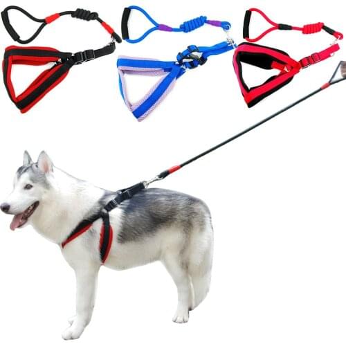 Dog Adjustable Mesh Harness Rope Traction Leash Breathable Mesh Harness Running Walk Padded Strap Rope Lead for Large Dogs