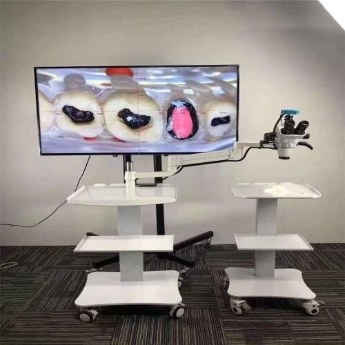 Continuous Zoom 16MP 1080P Dental Operating Microscope Portable Surgical Microscope/Endodontic Microscope With Camera