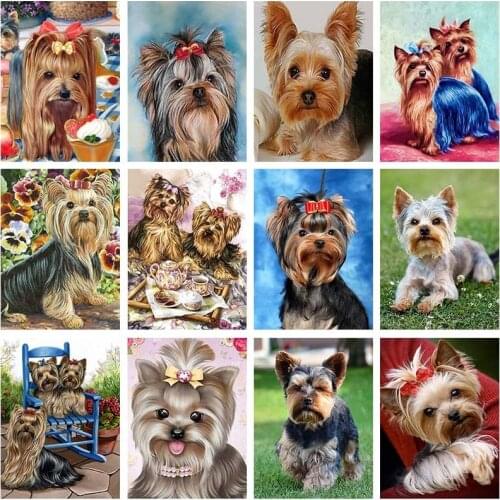 5D DIY Diamond Painting Dog Yorkshire Terrier Dogs Picture Mystery Diamond Mosaic Embroidery Art Wall Decoration