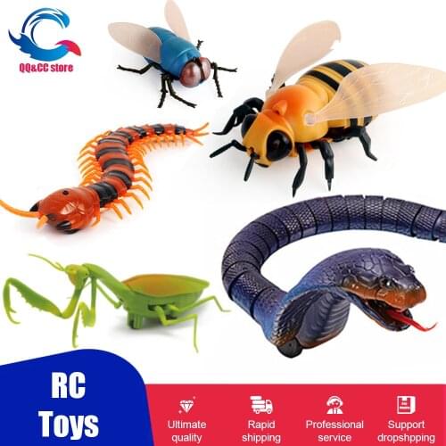 Novelty RC Snake Naja Cobra Viper Remote Control robot Animal spider Toy Cockroaches Interactive Childrens Toys for Kids Pet