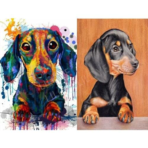 5d diy Diamond Painting Professor Dachshund Diamond Embroidery color cute pets dog full drill square/ round Rhinestones