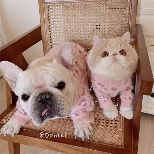 Pet clothes designer dog clothes