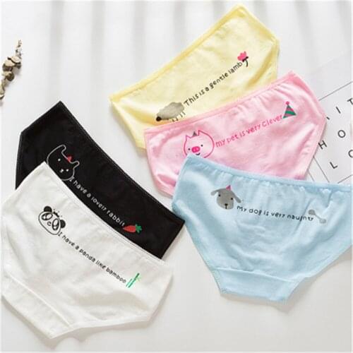 Ladies Cartoon Cotton Animal Cute Girl Underwear T025