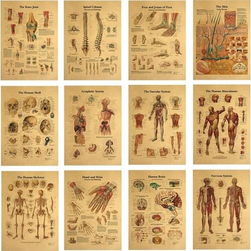 Human structure skeleton nervous system canvas painting retro medical posters and prints art print mural picture home wall decor