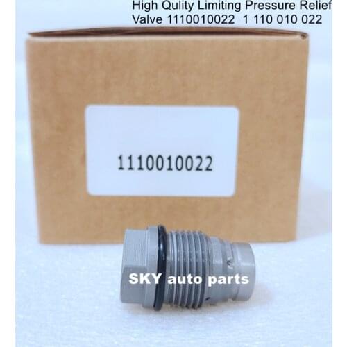 High Qulity Limiting Pressure Relief Valve 1110010022 1 110 010 022