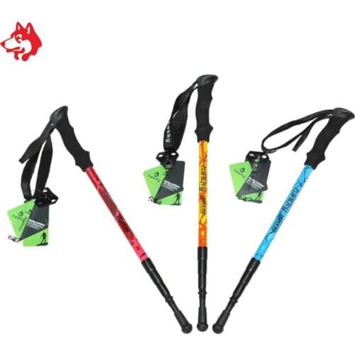 Factory price Jungle King hiking poles Anti-Shock carbon fiber body outdoor camping hiking alpenstock skiing trekking stick