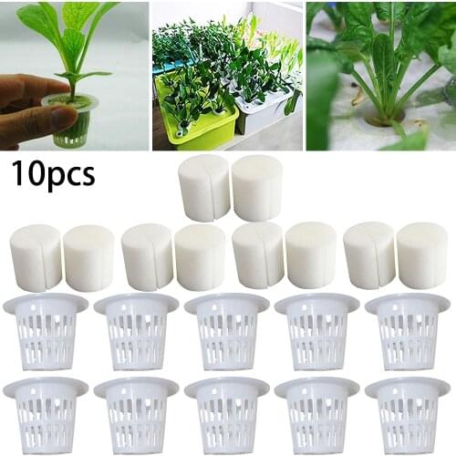 20pcs PE 32*30mm Mesh Pot With Sponge Net Cup Basket Hydroponic Aeroponic Plant Grow Sponge Suitable For Soilless Cultivation