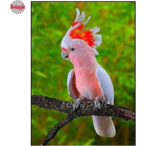 Cockatoo Bird 5D Diamond Embroidery diamond painting cross stitch mosaic full square round drill canva painting wall paintings