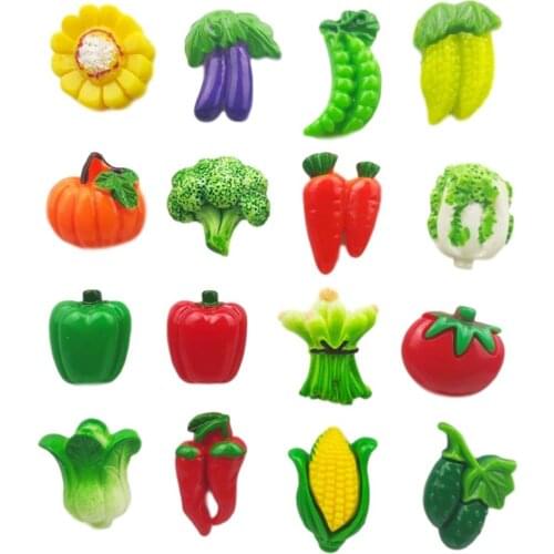 16 pcs/sets of resin vegetable fridge magnet home refrigerator magnets stickers strong neodymium office photo magnet Message