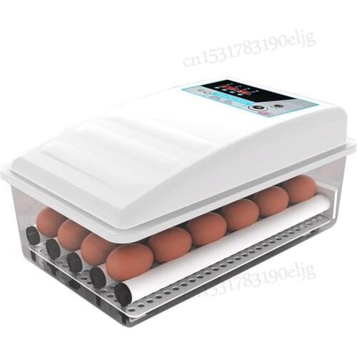Chick Incubator Small Home Incubator Full Automatic Intelligent Home Incubator Chicken Seedling Water Bed Incubator