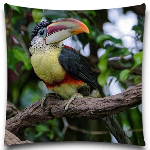 Tilt head to see your colorful bird 2D print creative Pillow case Square cotton polyester cushion cover 5 size 9 style