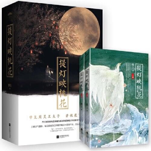 2 Books/Set Ti Deng Ying Tao Hua Novel by Huai Shang Chinese Youth Literature Modern Urban Romance Love Fiction Book