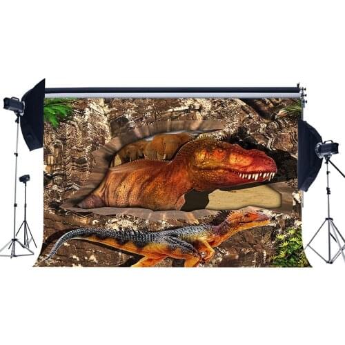 3D Dinosaur Backdrop Jurassic Period Cartoon Backdrops Fairytale Photography Background Decoration
