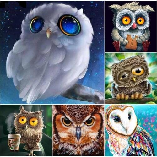5D DIY Diamond Painting Cartoon Owl Cross Stitch Kit Full Drill Square Embroidery Mosaic Art Picture of Rhinestones home decor