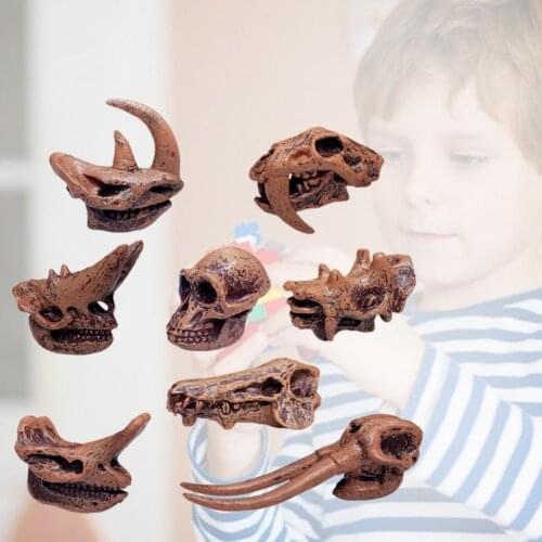 Dinosaur Skull High Simulation Aquarium Decor Plastic Fossil Teaching Skeleton Model for Collectors Kid Adult Model Toy