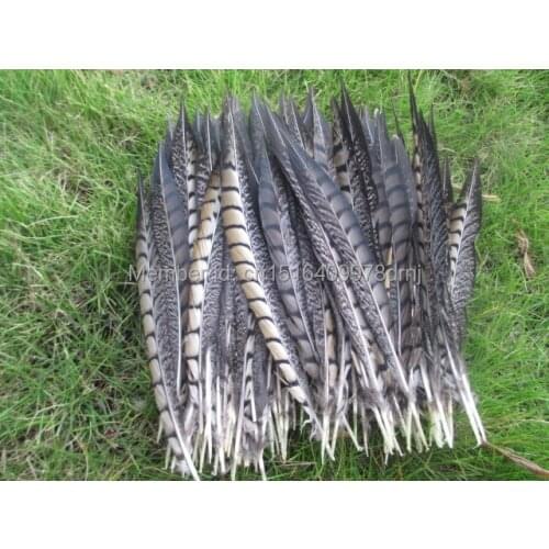 Wholesale 100 natural color pheasant feathers 25-30 cm 10-12 inches for wedding dance celebration DIY decoration