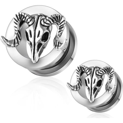 Steel Screw Fit Hollow Star Ear Flesh Tunnel Gauges Piercing Earlet Plug Ear Stretchers Piercings Body Jewelry