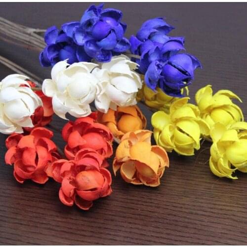 10pcs Medinilla Magnifica Dried Flower For Wedding Party Home Hotel Decoration DIY Bouquet Project Accessory
