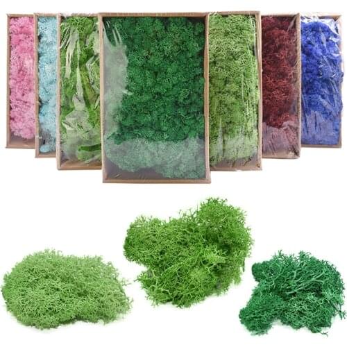 High Quality Artificial Green Plant Immortal Fake Flower Moss Grass Home Living Room Decorative Wall DIY Flower Mini Accessories