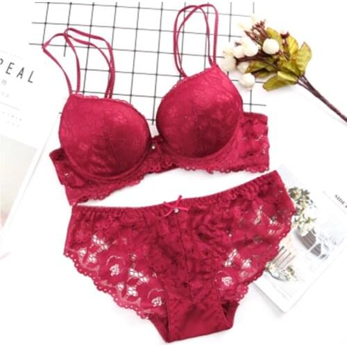 New Lace Embroidery Bra Set Women Plus Size Push Up Underwear Set Bra and Panty Set 32 34 36 38 AB Cup For Female