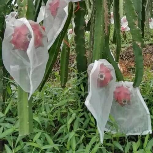 10pcs Garden Plant Fruit Protect Bags Sac Net Mesh Against Insect Pest Bird Reusable Bags