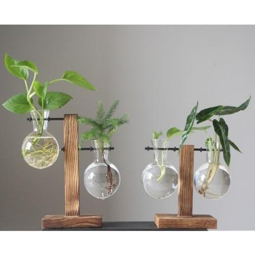 5pcs Desktop Glass Planter Bulb Vase w/ Solid Wooden Stand and Metal Holder
