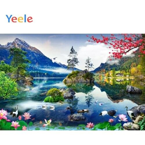 Yeele River Mountains Swans Nature Scenery Portrait Photography Background Customized Photographic Backdrop For Photo Studio