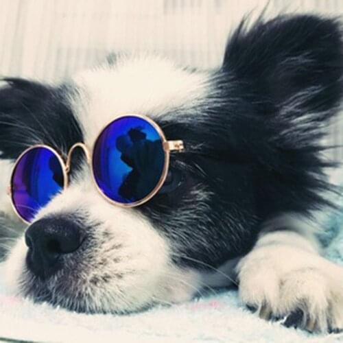 Cool Pet Glasses Dog Protection Goggles Small Dogs Puppy Cat Fashion Trend Sunglasses Pet Dog Eye Protection