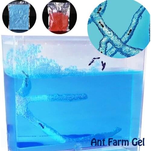 Safely DIY Ant Tower Gel Maze Ant Farm Works Workshop Educational Edible Grade Glue Live Habitat Feeding Kid Secure Toy