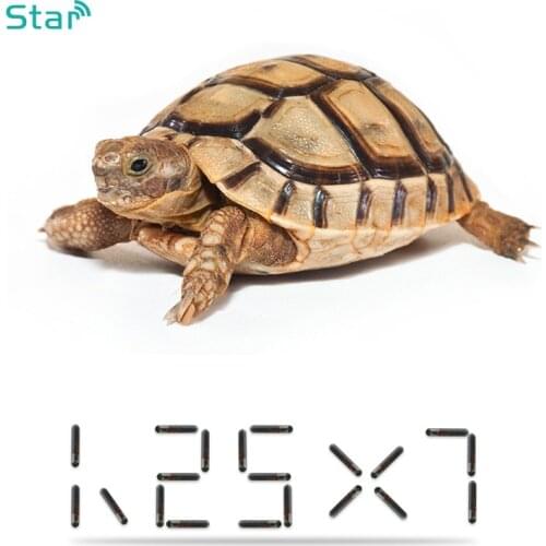 X 10pcs 1.25*7mm Microchip ISO 11784/785 Pet Chip Glass Tag