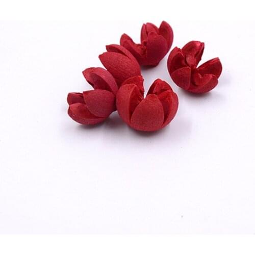 DriedFruit PistachiosPreservedFlowersHomeDecorLivingRoomDecoration DIYMaterialsForDIYHandmadeDecoration Eternal Flower Materials