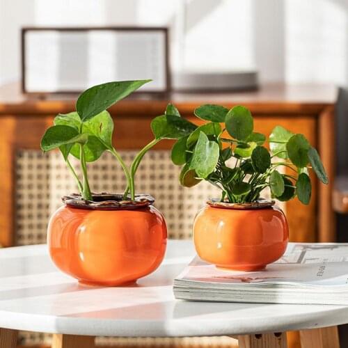 Persimmon Hydroponic Flower Pot Good Luck plant pot Chinese ceramic succulent pots home desk decoration Macetas decorativas
